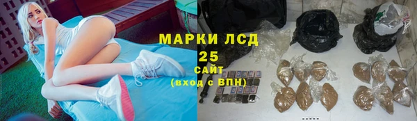 индика Черняховск