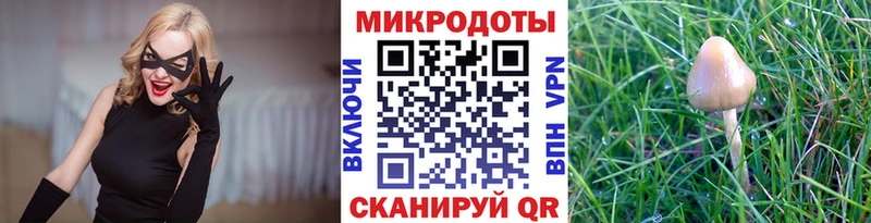 где можно купить   Касли  Псилоцибиновые грибы Psilocybine cubensis 